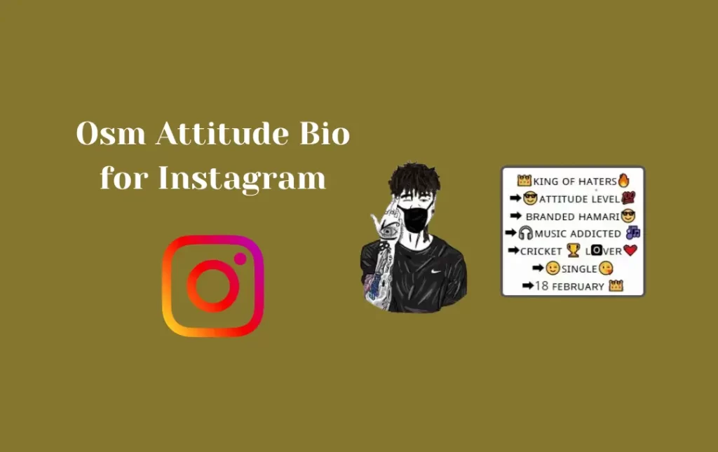 Osm Attitude Bio for Instagram
