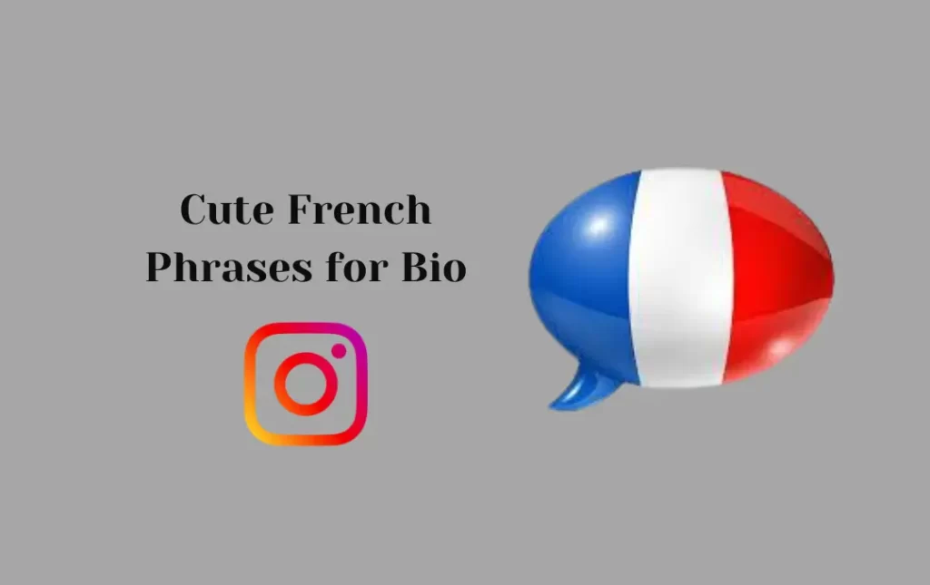 Cute French Phrases for Bio