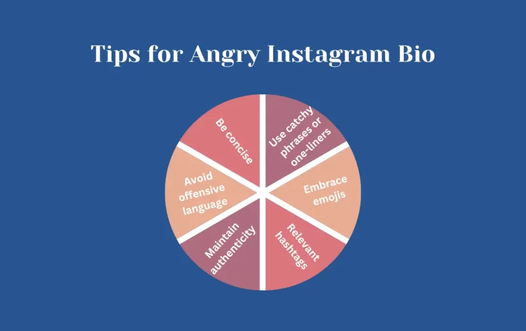 infographics: tips for angry instagram bio