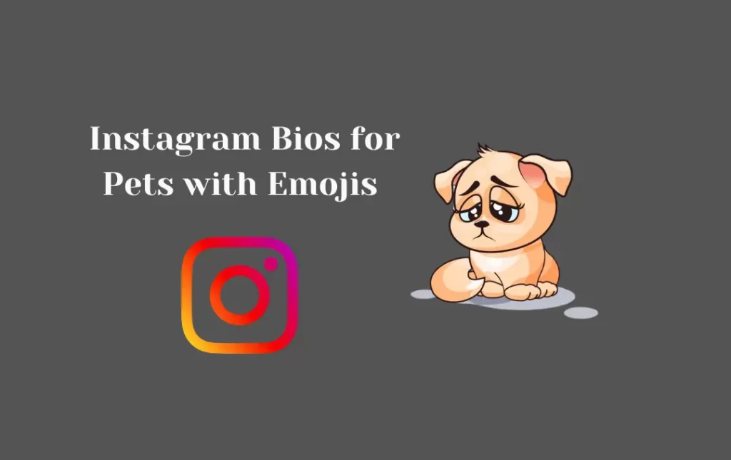  Instagram Bios for Pets with Emojis