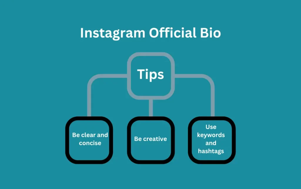 Tips for Official Instagram Bio