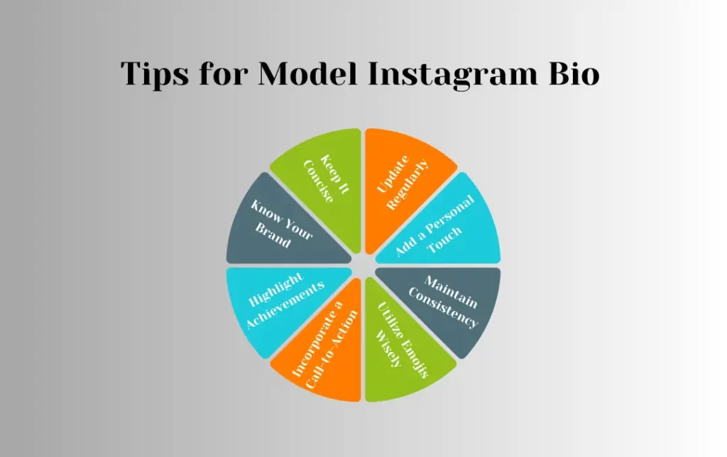 Infographics:Tips for Model Instagram Bio 