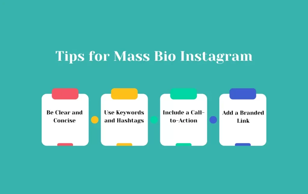 Infographics: Tips for Mass Bio Instagram