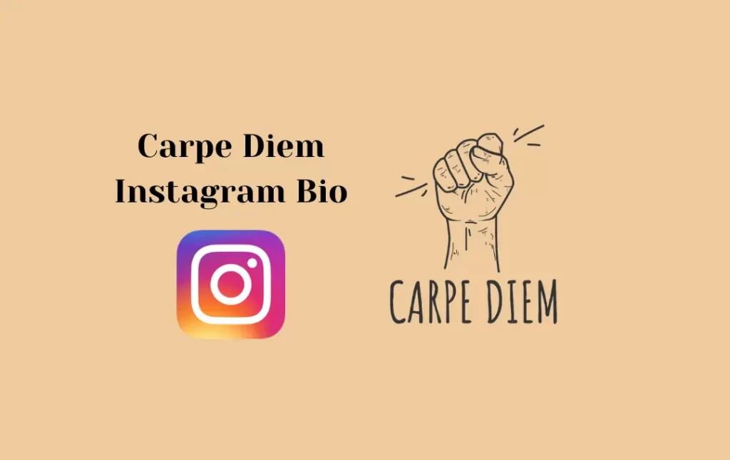 Carpe Diem Instagram Bio