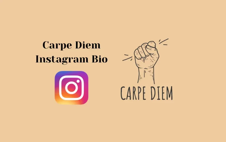 Best Carpe Diem Instagram Bio | Instagram Bio for Carpe Diem