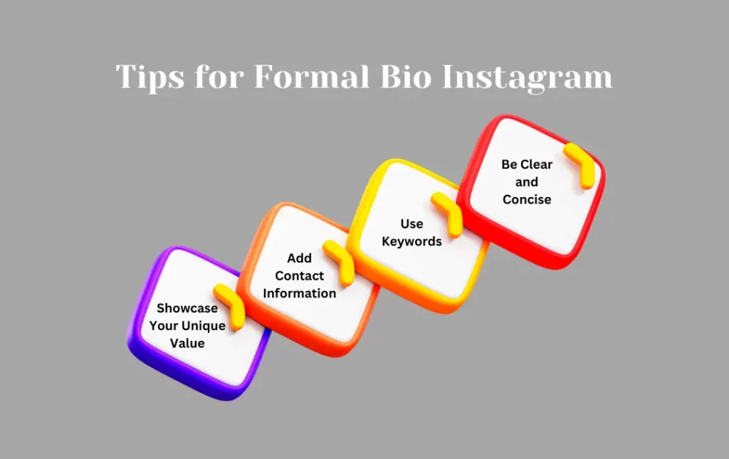 Infographics: Tips for Formal Bio Instagram