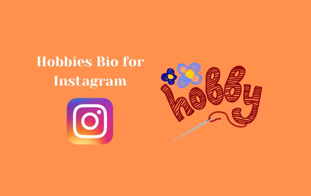 Hobbies Bio for Instagram