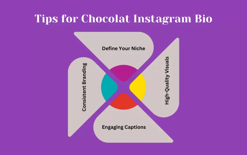 Infographics: Tips for Chocolat Instagram Bio