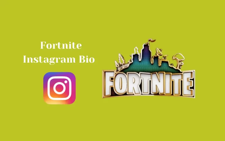Best Fortnite Instagram Bio | Fortnite Captions for Instagram Bio