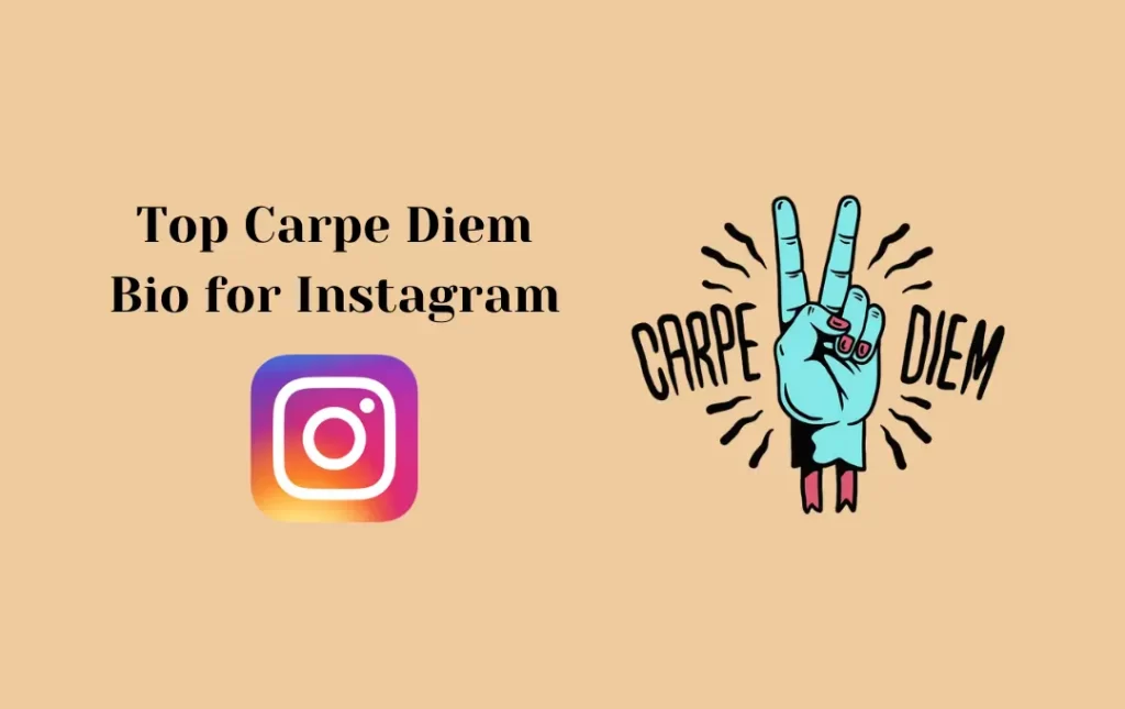 Top Carpe Diem Bio for Instagram