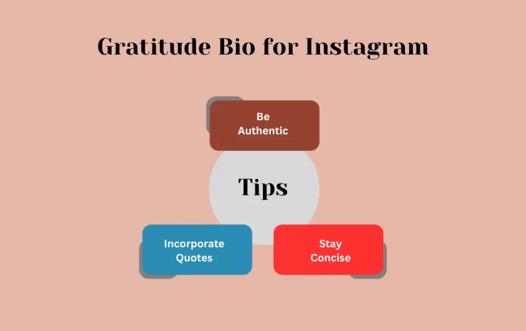 Infographics: Tips for Gratitude Bio for Instagram