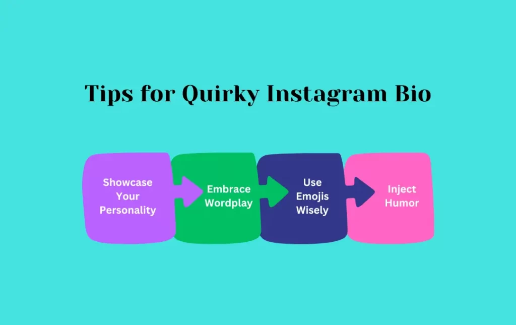 Infographics: Tips for Quirky Instagram Bio