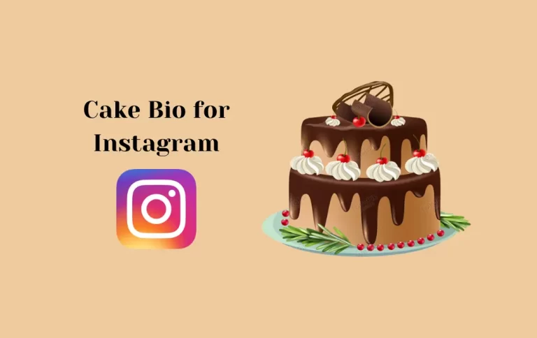 Best Cake Bio for Instagram | Cake Captions & Quotes for Instagram Bio
