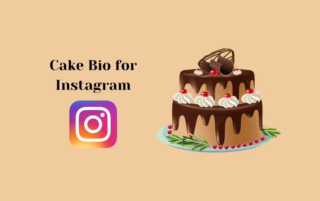 Best Cake Bio For Instagram Cake Captions Quotes For Instagram Bio