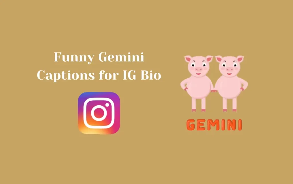 Funny Gemini Captions for IG Bio