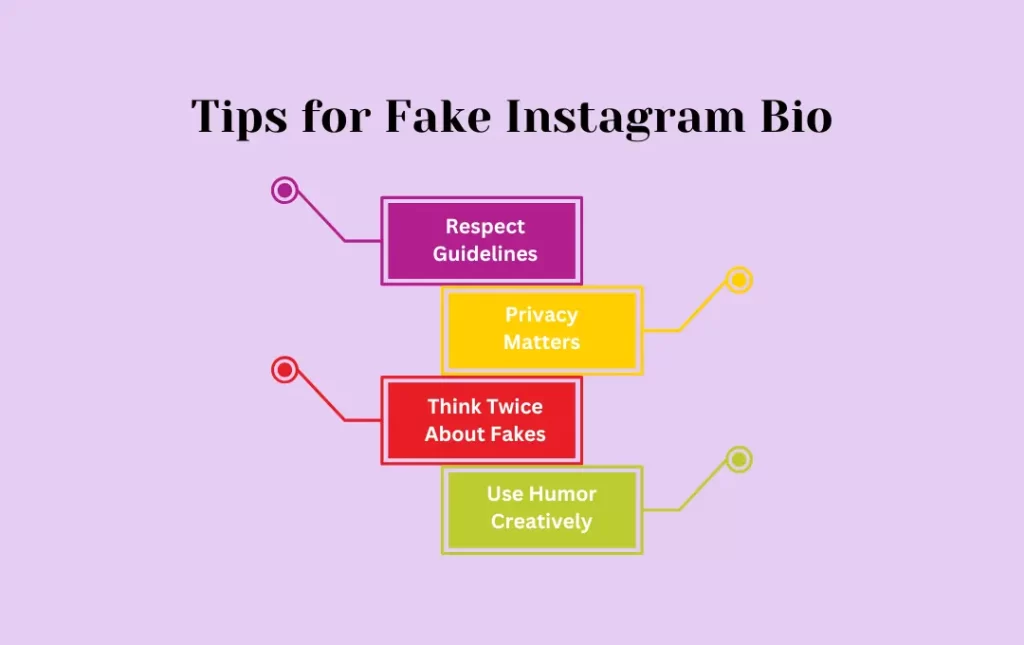 Infographics: Tips for Fake Instagram Bio