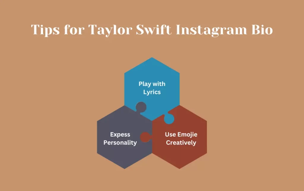 Infographics: Tips for Taylor Swift Instagram Bio