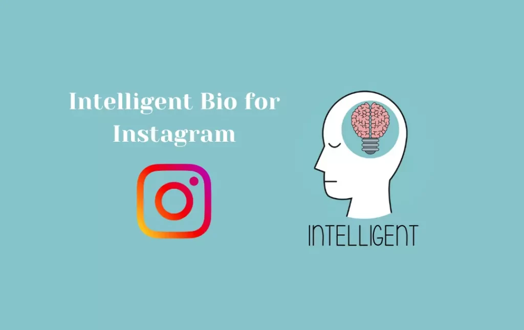 Intelligent Bio for Instagram