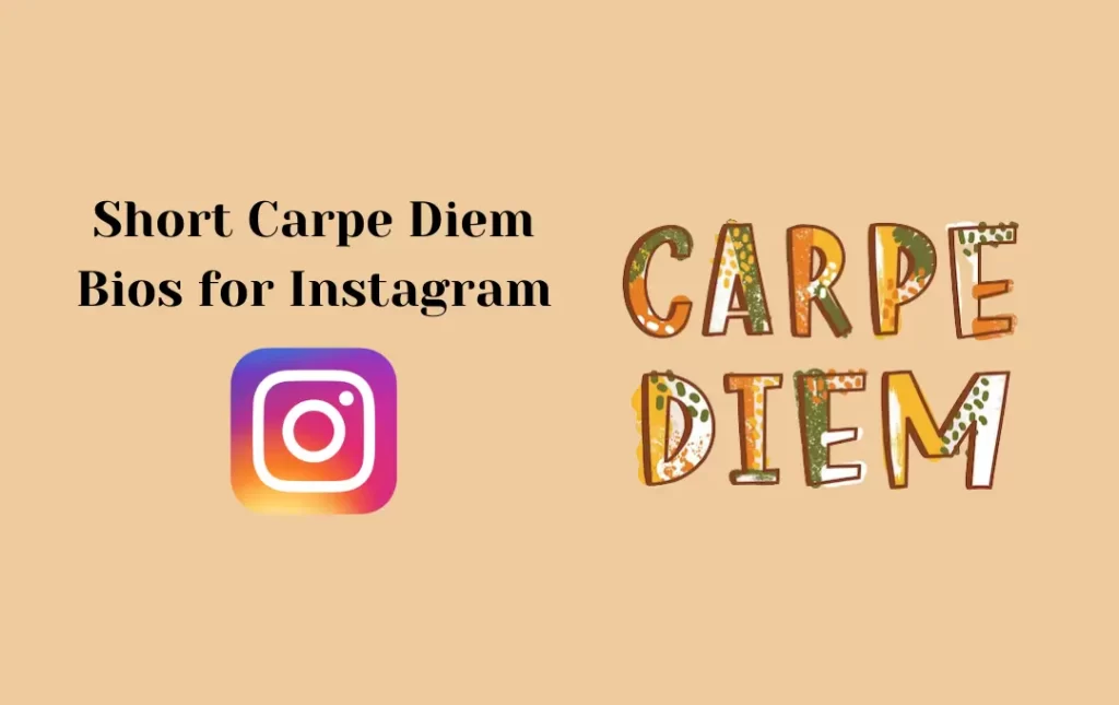 Short Carpe Diem Bios for Instagram