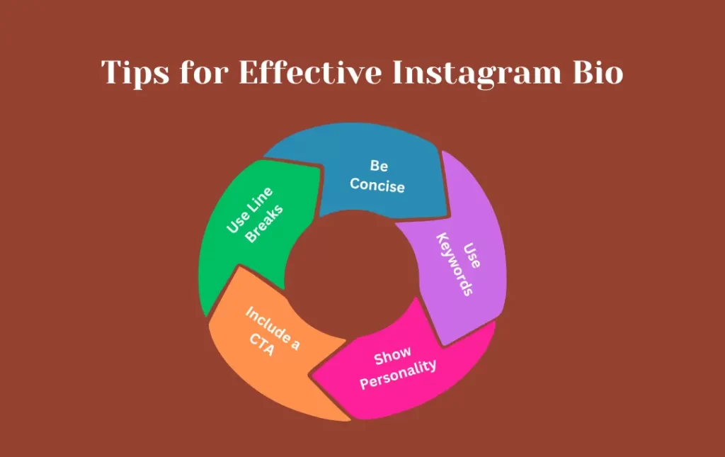 Infographics: Tips for Effective Instagram Bio