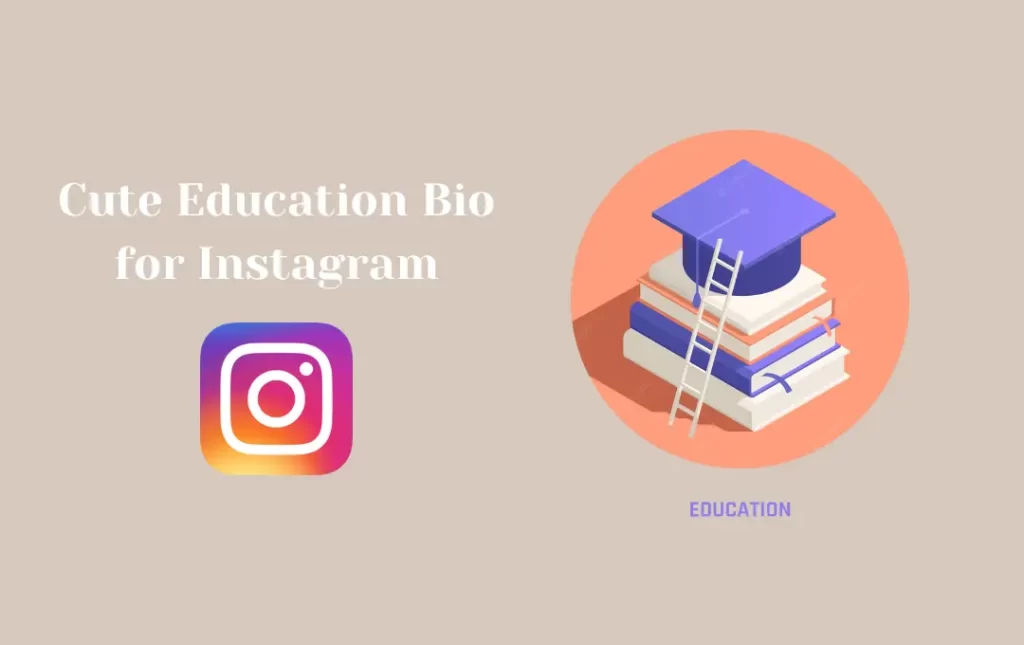 Cute Education Bio for Instagram