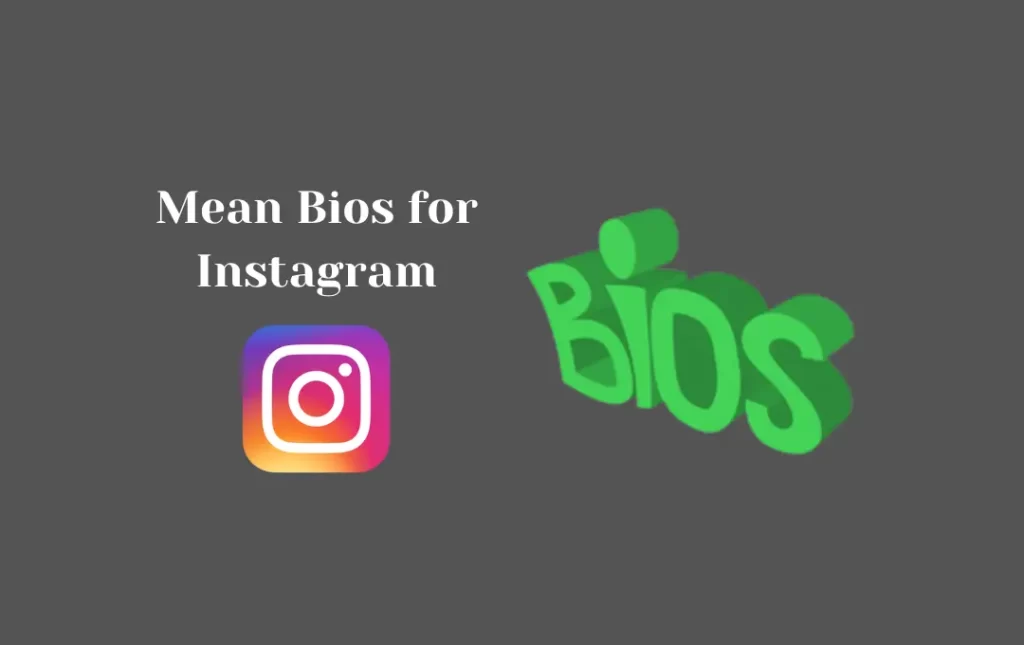 Mean Bios for Instagram
