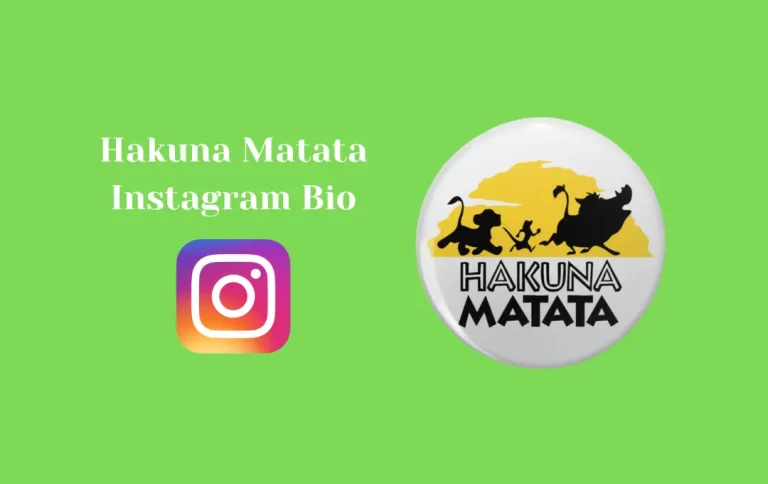 Best Hakuna Matata Instagram Bio | Instagram Bio for Hakuna Matata