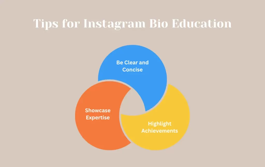 Infographics: Tips for Instagram Bio Education