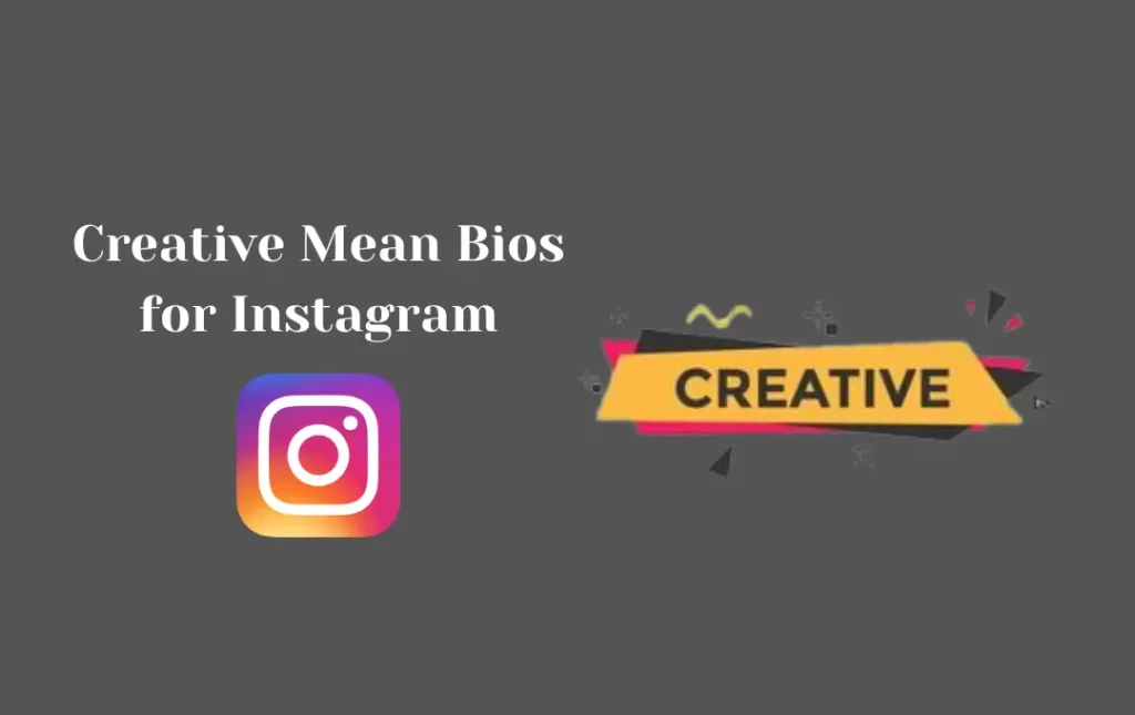 Creative Mean Bios for Instagram