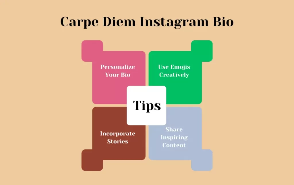 Infographics: Tips for Carpe Diem Instagram Bio