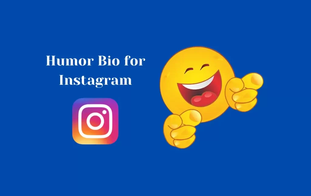 Humor Bio for Instagram