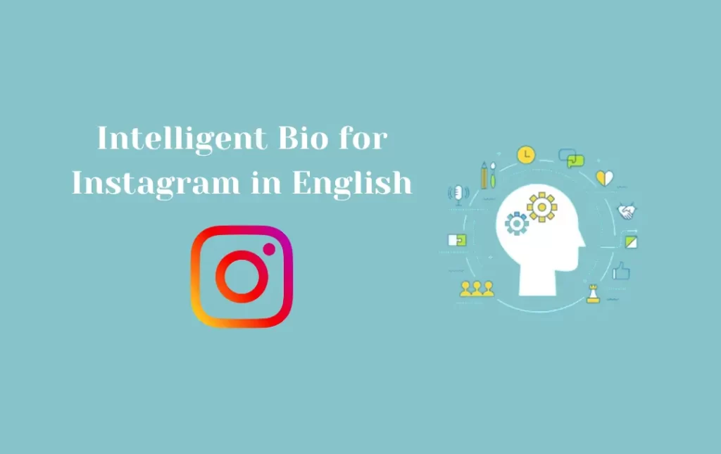 Intelligent Bio for Instagram in English