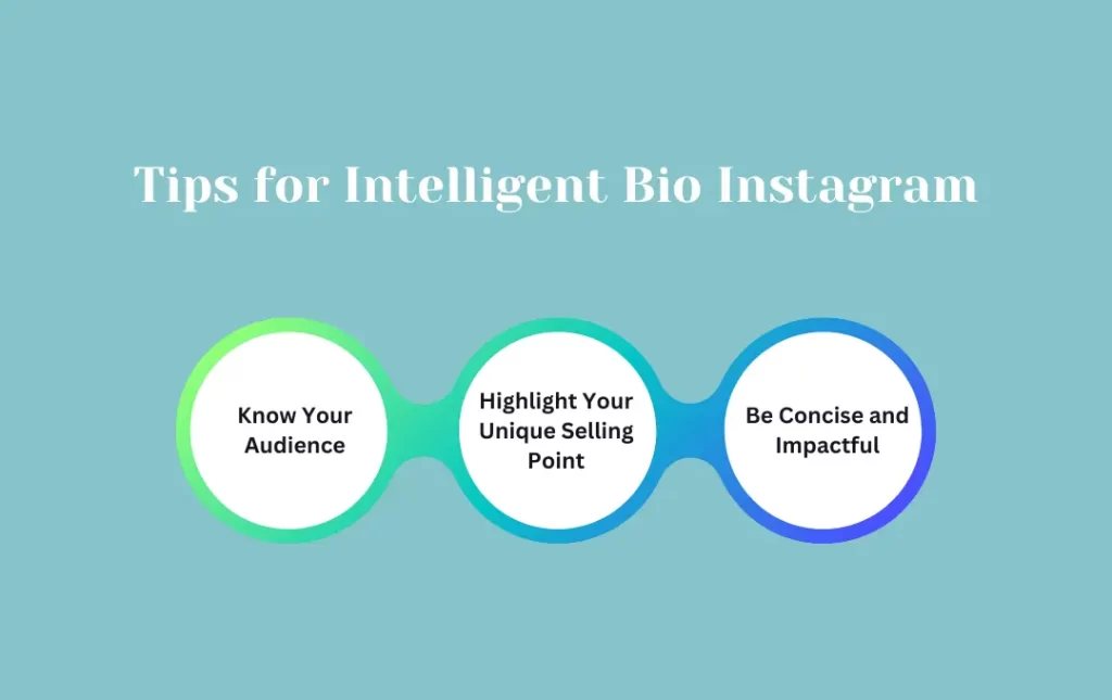 Infographics: Tips for Intelligent Bio Instagram