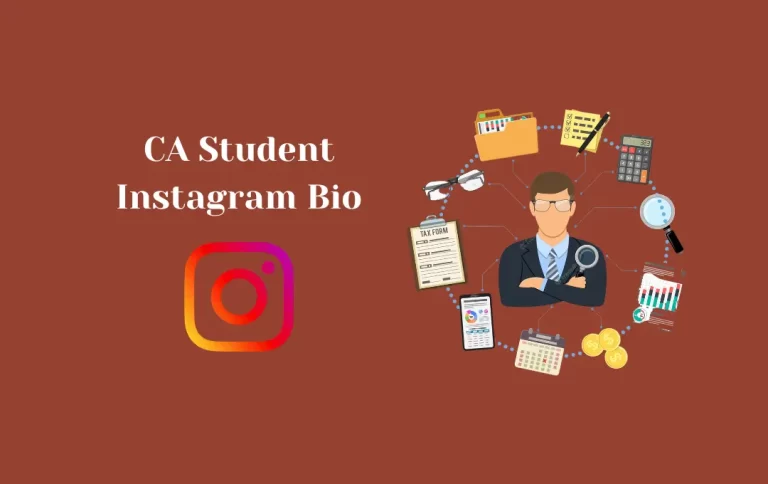 Best CA Student Instagram Bio | Instagram Bios for Chartered Accountants