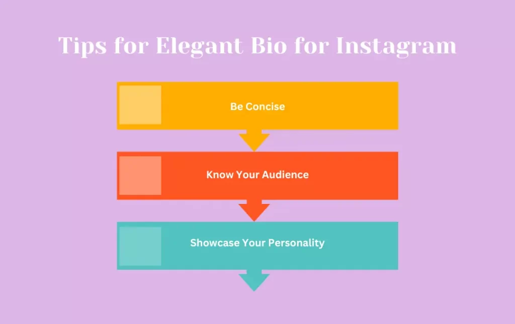 Infographics: Tips for Elegant Bio for Instagram