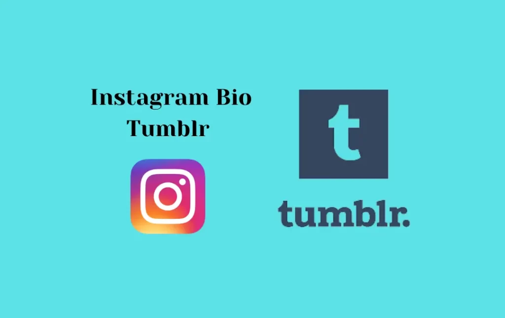 Instagram Bio Tumblr