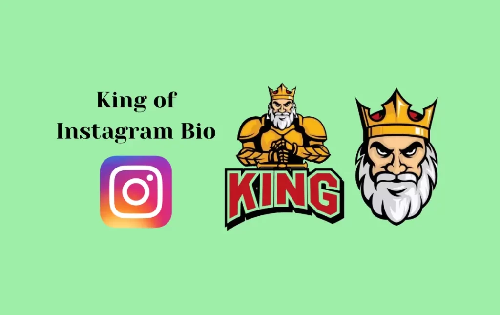 King of Instagram Bio