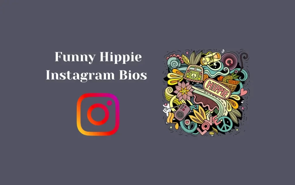 Funny Hippie Instagram Bios 