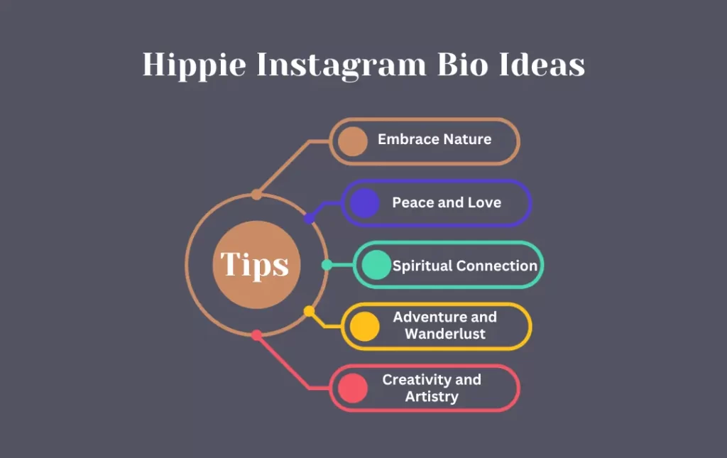 Infographics: Tips for Hippie Instagram Bio Ideas