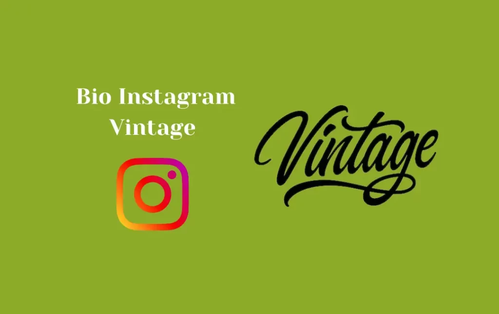 Bio Instagram Vintage