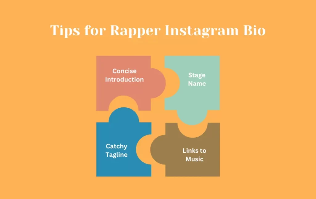 Infographics: Tips for Rapper Instagram Bio