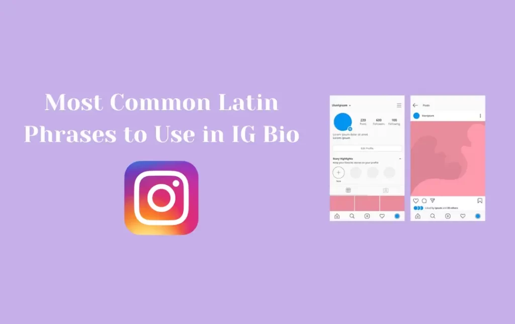 Most Common Latin Phrases to Use in IG Bio