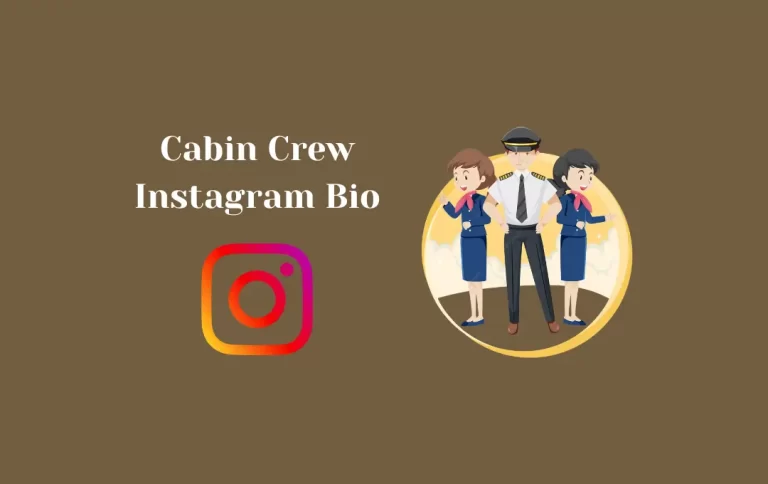 Best Cabin Crew Instagram Bio | Instagram Bio for Cabin Crew