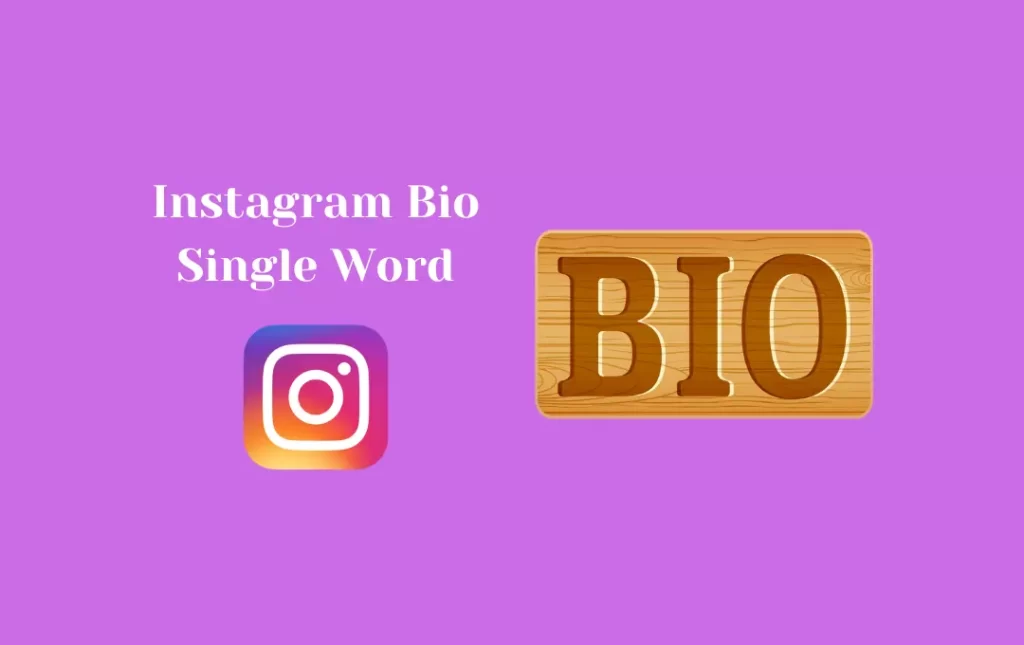 Instagram Bio Single Word