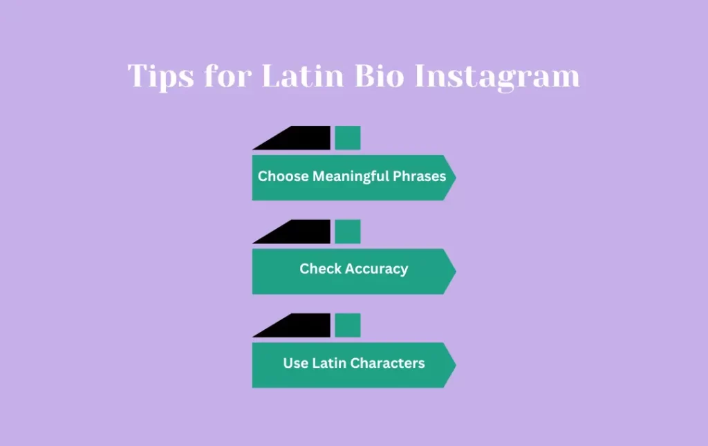 Infographics: Tips for Latin Bio Instagram
