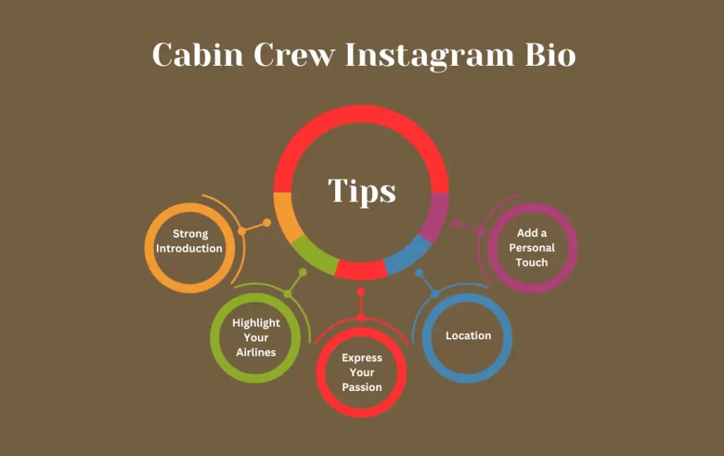 Infographics: Tips for Cabin Crew Instagram Bio