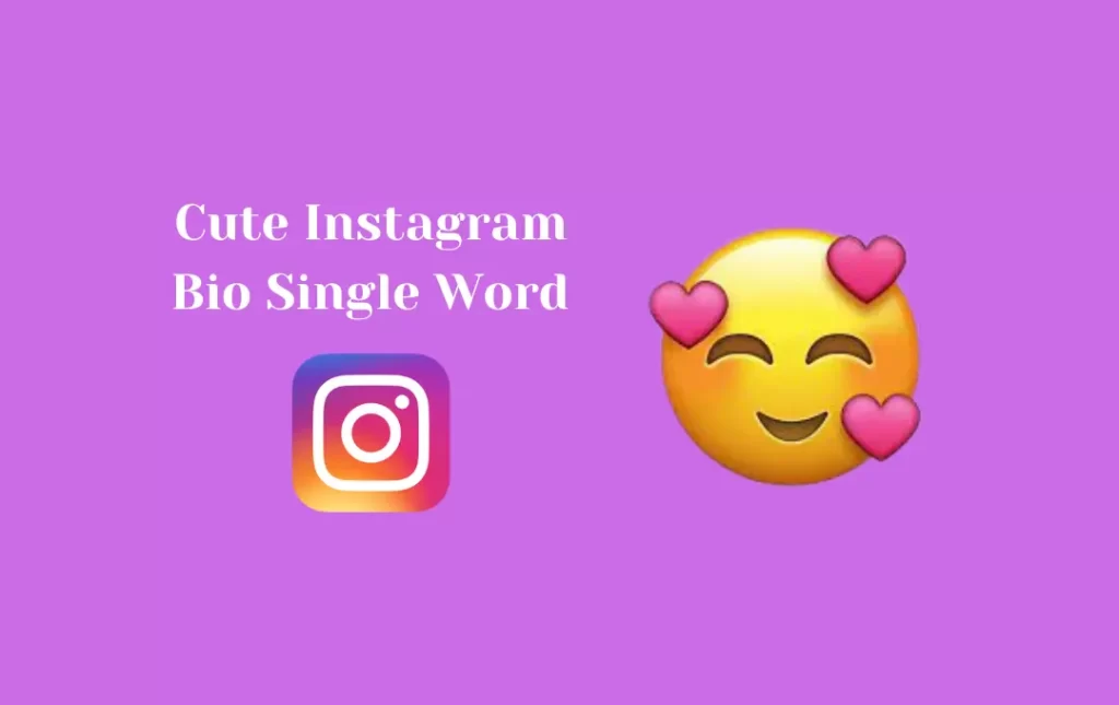 Cute Instagram Bio Single Word   