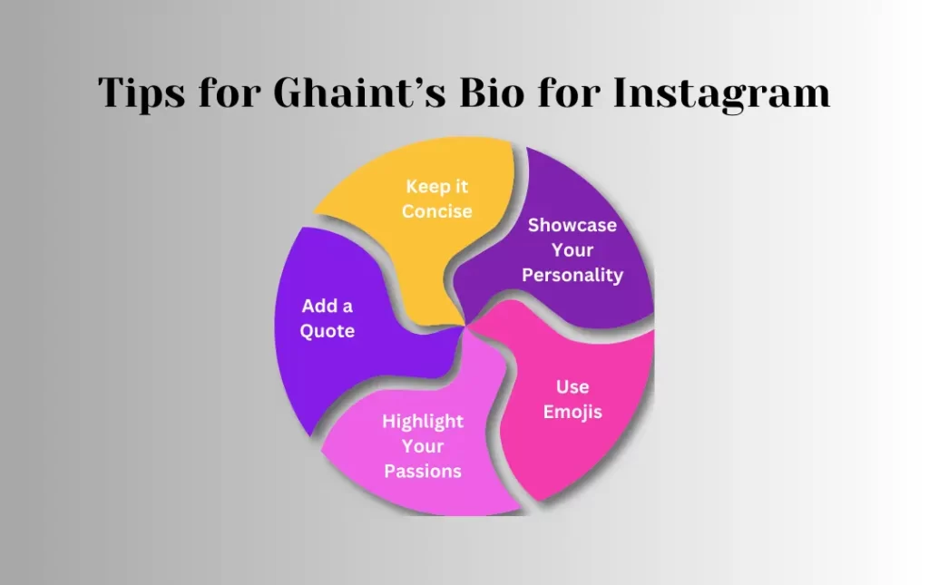 Infographics: Tips for Ghaint’s Bio for Instagram