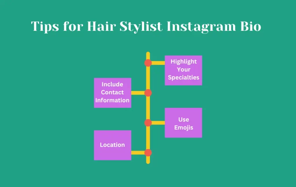 Infographics: Tips for Hair Stylist’s Instagram Bio 