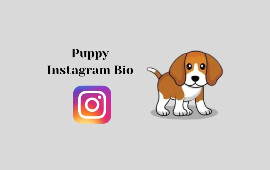 Puppy Instagram Bio